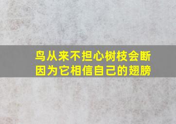 鸟从来不担心树枝会断 因为它相信自己的翅膀